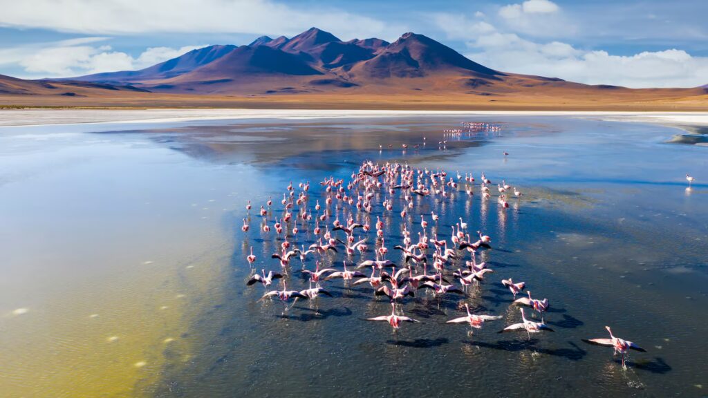 Bolivia vuelve a conquistar a los viajeros con salares, viñedos y paisajes únicos